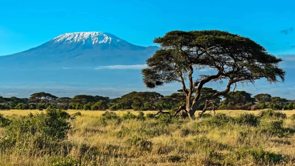 Discover Tanzania: The Underrated Holiday Destination You Need to Visit