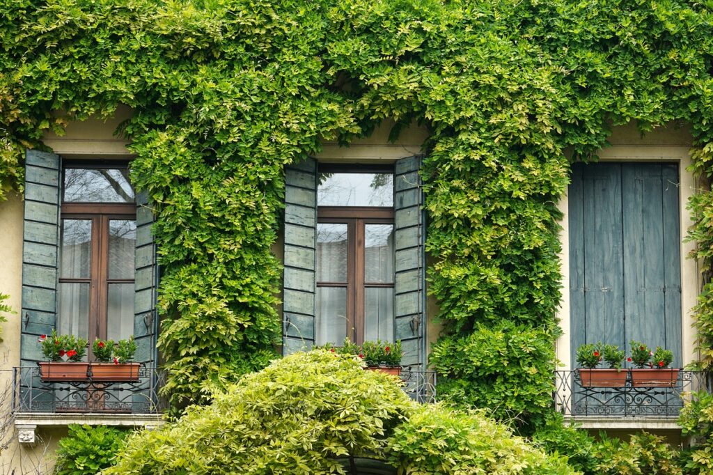 The Ultimate Guide to Choosing and Caring for Window Flower Boxes