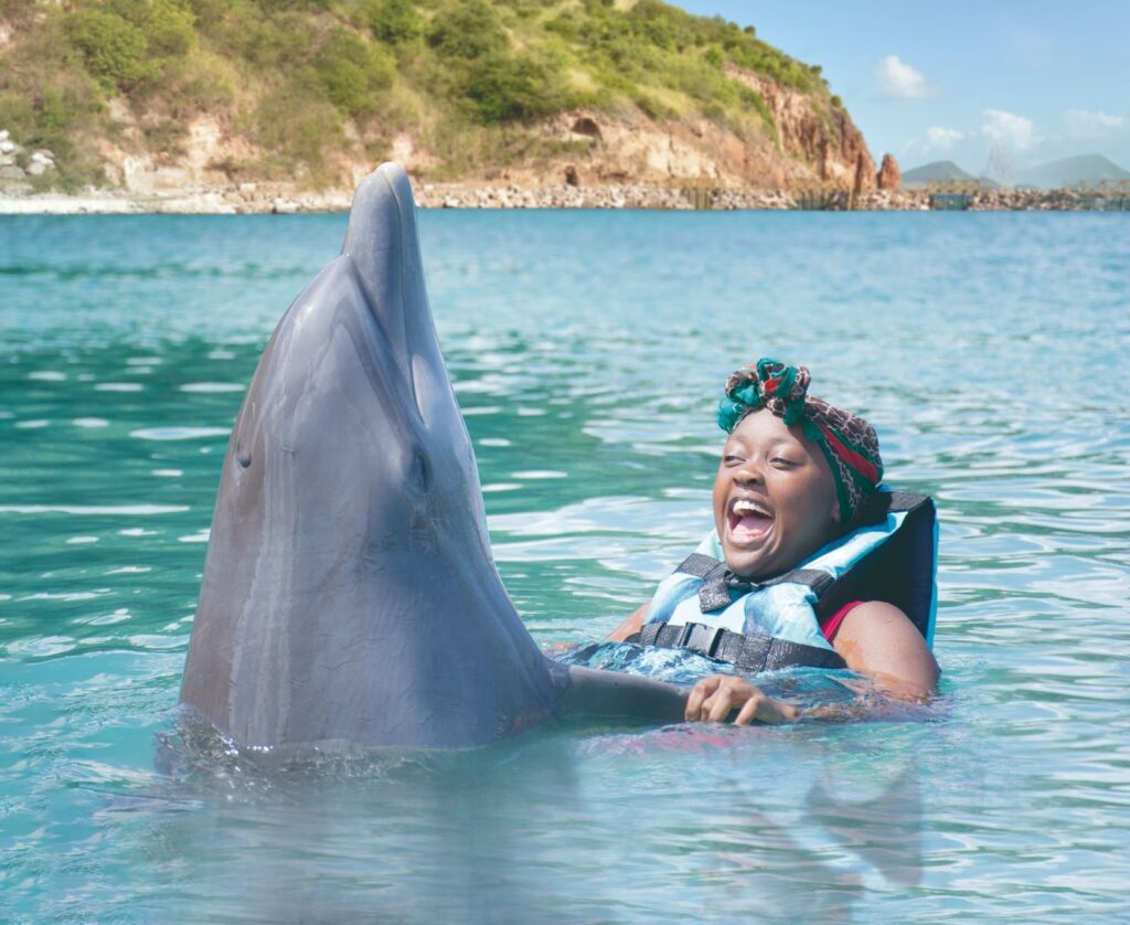 Unforgettable Dolphin Encounters: A Must-Do Adventure on Cruises to St. Kitts