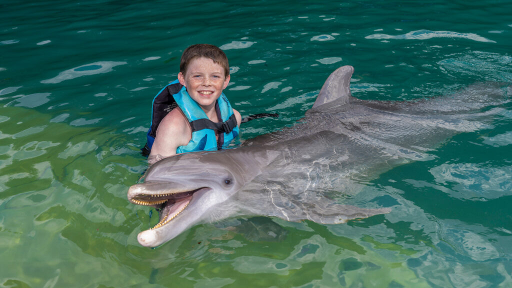 Dolphin Cove Ocho Ríos